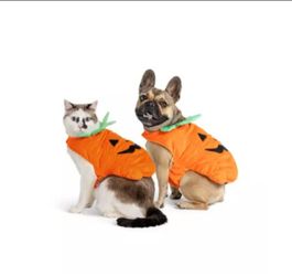 Thrills & Chills Pumpkin Dog Costume ā Size Small š