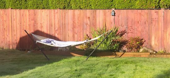 Hammock