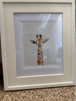 Baby Animals Framed - Decorate your nursery or kids room