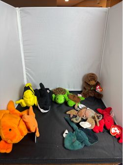 TY Beanie Babies Ocean Sea Animal Lot of 10 – Goldie, Splash, Speedy, Pinchers & More