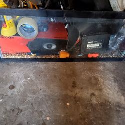 20 Gallon Fish Tank 