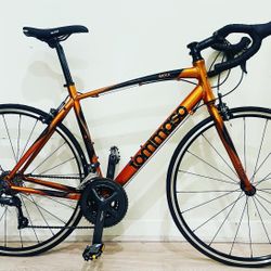 Beautiful Bicycle TOMMASO Road Bike 