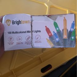 100 Multicolored Mini Lights