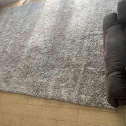 Grey Plush Carpet