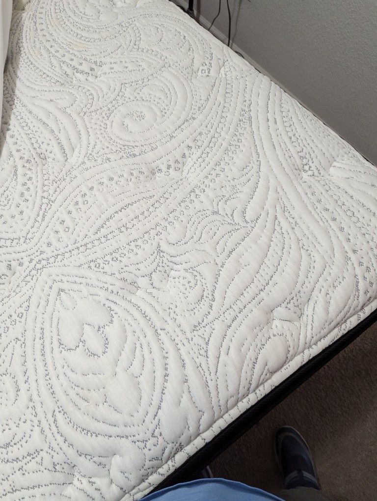 3 Month Old Queen Mattress.