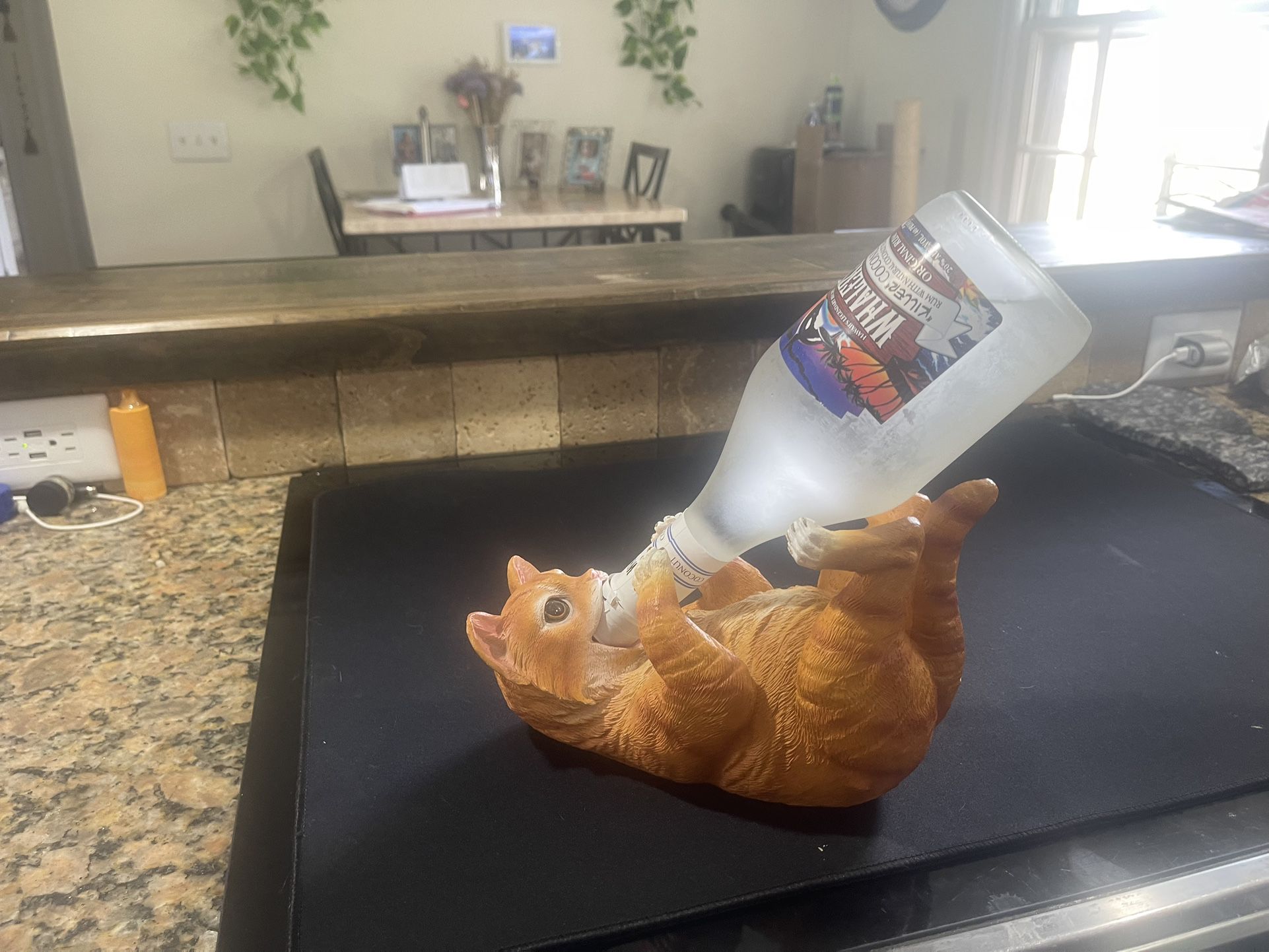 Cat Bottle Holder