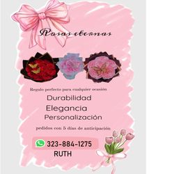 Hermosas Flores Eternas 