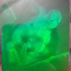 1994 Amazing Spider-Man 1st Hologram #2