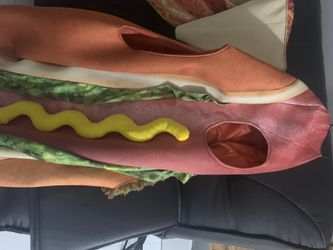Bacon and hotdog costume