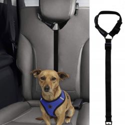 Dog Car Seat Belt