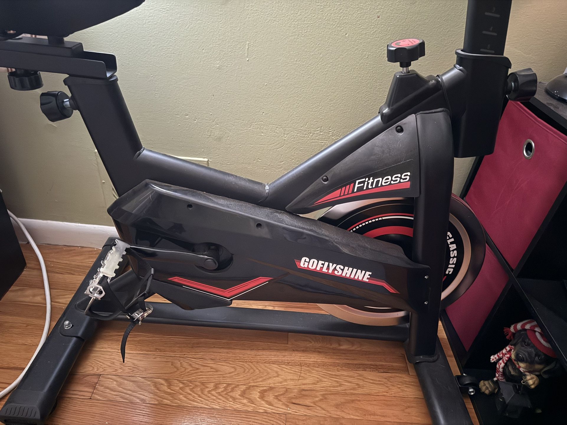 Beautiful Exercise Bike