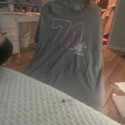 Gray Disneyland Shirt