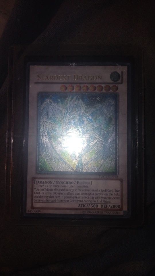 Star Dust dragon