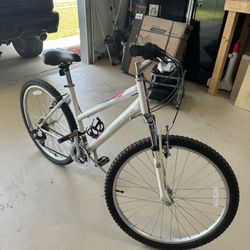 Nishiki Mountain Bike 