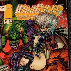 Comic Of The Wildcats 