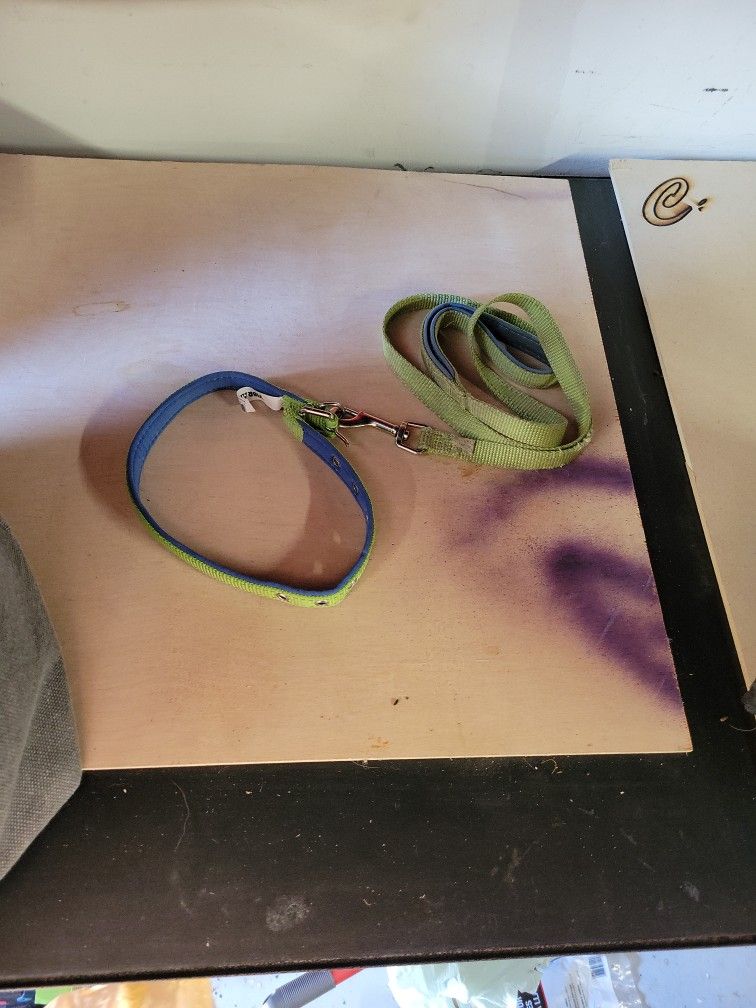 Small Collar And Leash