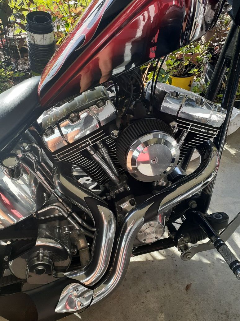2008 Thunder Mountain chopper