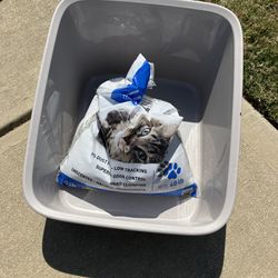 New Large Litter Box With 13 Lbs Litter
