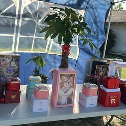 Valentine’s Day’ Roses 