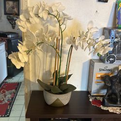 House Decor