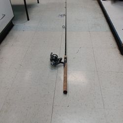 Fishing Rod