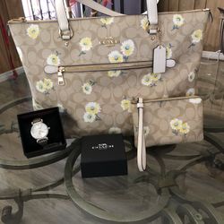 Coach Set