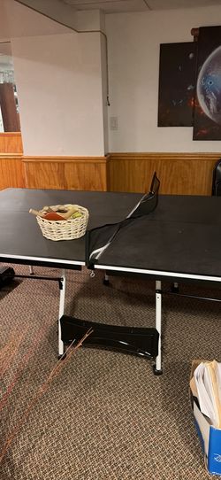 Ping pong/ tennis table