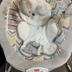 Baby Bouncer 