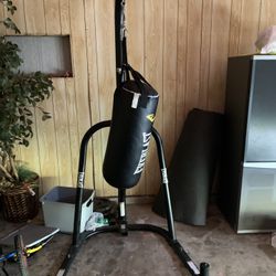 Boxing Heavy Bag + Beam | Barely Used 