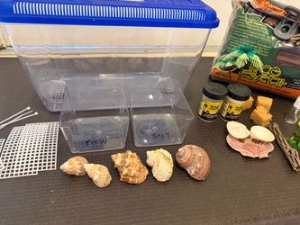 Hermit Crab Habitat & Supplies – Tank, Shells, Substrate