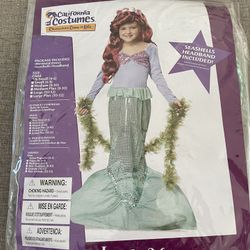 Little Mermaid Costume 