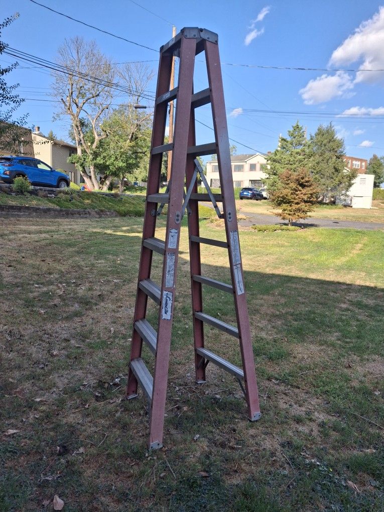 8 Foot Ladder