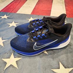 Nike Running Shoes Brand New (M 10.5)