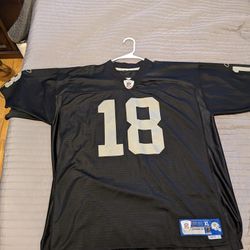 Vintage Oakland Raiders (Vintage Randy Moss)