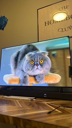 LG C2 42 Inch Class 4K OLED evo gaming monitorAI G-SYNC