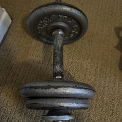 single dumbbell