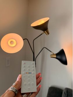 Matte Black Floor Lamp