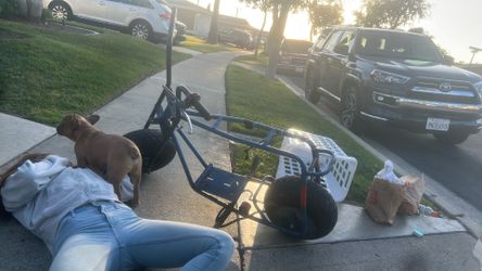 Mini bike