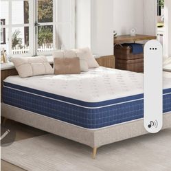 King Bed w/ Box Springs And Brand New King Frame 