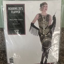 Roaring 20’s Dress 