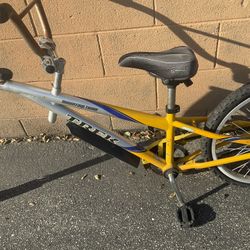 Trek Ride Along Bike