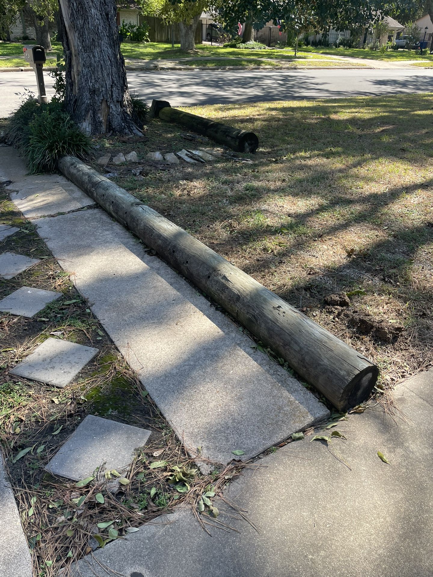 Used Telephone Poles