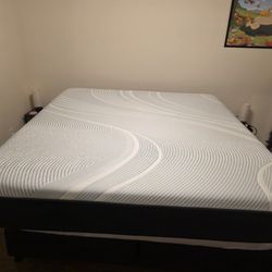 King Tempurpedic PRO-Adapt Firm