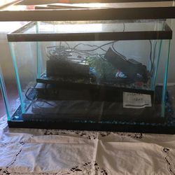 20, 10 and 5 gal fish tank and filter for 2 or them. $75 for all or will sale separate.
