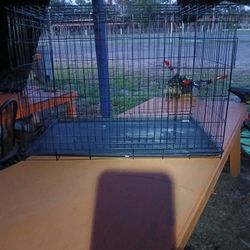 Large Dog Cage 3ft Long X 2 1/2 Wide X  2 1/2 Tall