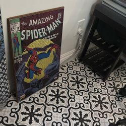 Spider Man Art 