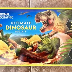 XL Dinosaur Dig Kit 