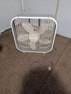 Fan