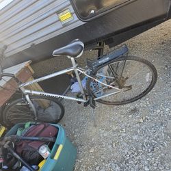 Cruising Bike Bianchi/ Avenue 