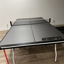 ESPN PING PONG TABLE